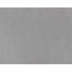 Vicostone Beton BQ 5260New