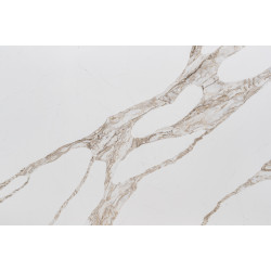 Vicostone Vivalioro BQ-8918New