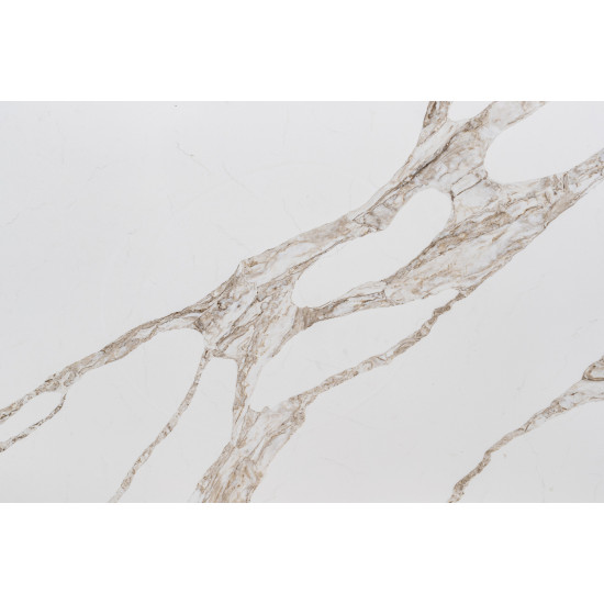 Vicostone Vivalioro BQ-8918New