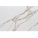 Vicostone Vivalioro BQ-8918New