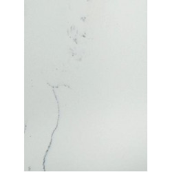 Vicostone Bianco Venato BQ-8440