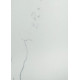 Vicostone Bianco Venato BQ-8440