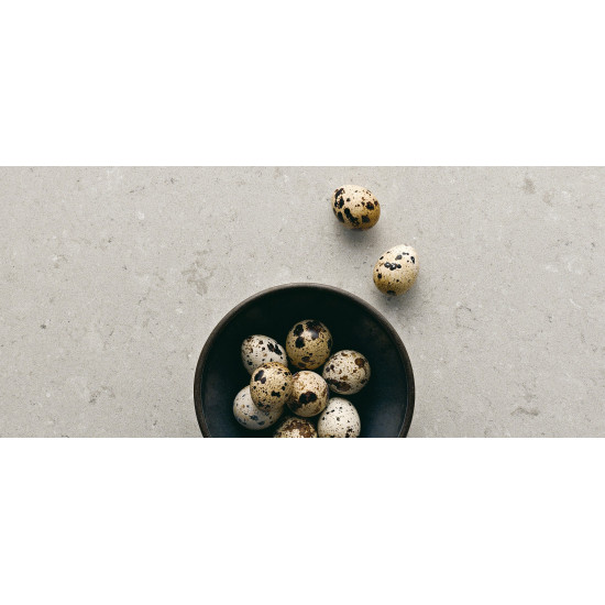 CaesarStone Clamshell 4130