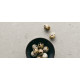 CaesarStone Clamshell 4130