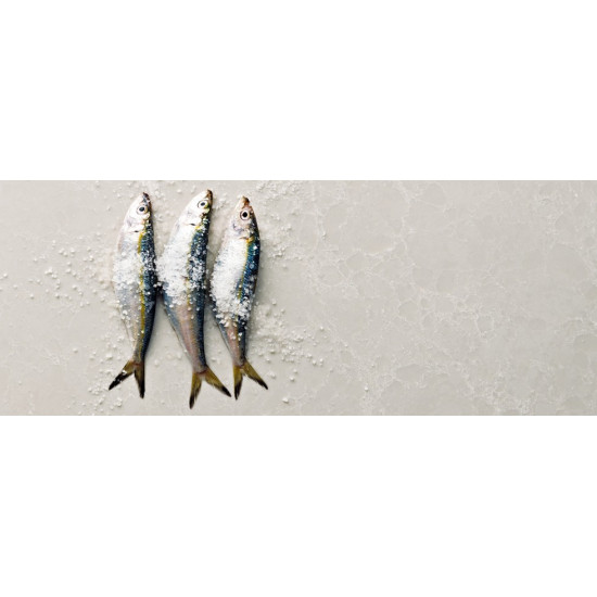 Caesarstone Alpine Mist 5110
