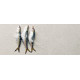 Caesarstone Alpine Mist 5110