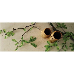 Caesarstone Dreamy Marfil 5220