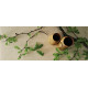 Caesarstone Dreamy Marfil 5220