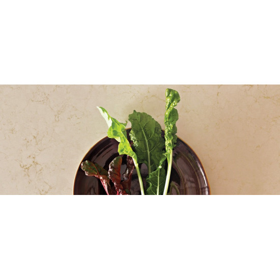 Caesarstone Dreamy Marfil 5220