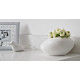 Caesarstone Pure White 1141