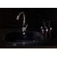 Silestone Negro stellar