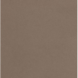 Silestone Noka