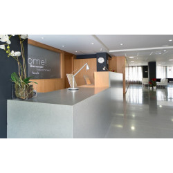 Silestone Cygnus