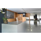 Silestone Cygnus