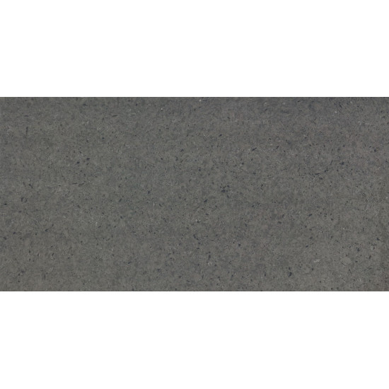 Samsung Radianz Charcoal CH949