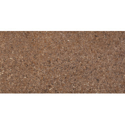 Samsung Radianz Wilshire Amber WA389