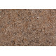 Samsung Radianz Wilshire Amber WA389