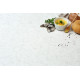 Samsung Radianz Sequoia SE155