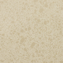 Samsung Radianz Mykonos Beige CK230