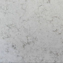 Belenco Daphne Crack 3113New