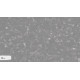Avant Quartz Грей Ним 2065New